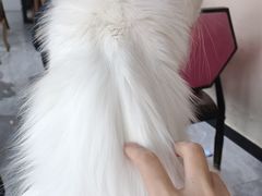 -猫小院猫主题餐厅(南锣旗舰店)