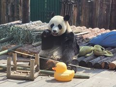 -大连森林动物园