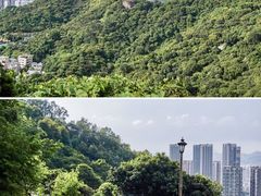-阳台山森林公园
