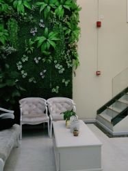 -苗医生草本科技祛痘