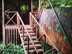 -呀路古热带植物园