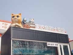 -向外鱼乐·土菜·虹鳟鱼