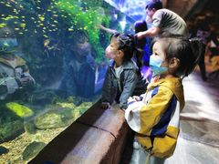 -华夏文旅海洋公园