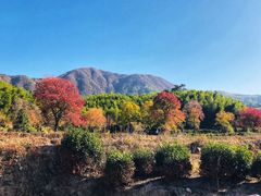 -塔川景区