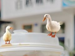 -白鹅咖啡(金城花园店)