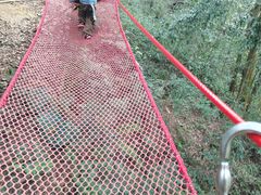 -衢州大荫山丛林飞越探险乐园
