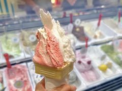 -柠檬车露(卖草地店)