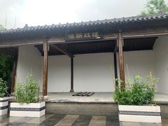 -茯茶镇