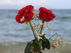 -玫瑰海岸文化旅游度假区