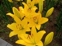 -长春公园(普阳街道)