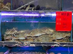 -金海湾海鲜排档(朱家尖店)