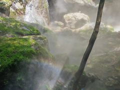-牛背梁国家森林公园