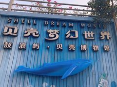-贝壳梦幻世界