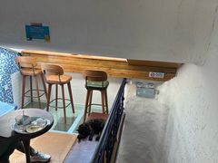 -Sirena海妖日咖夜酒