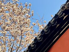 -长春观