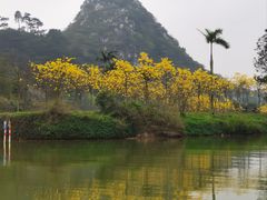 -星湖旅游景区七星岩