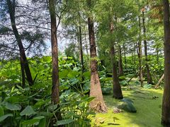 -云龙湖旅游景区