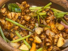 -天宝食坊·啫啫煲大排档(西华路店)