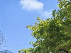 -龙湖重庆时代天街