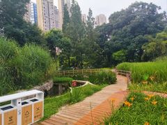 -成都市活水公园