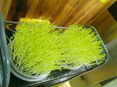 -洪氏嗨捞·广东猪肚鸡·椰子鸡火锅(西咸万象城店)