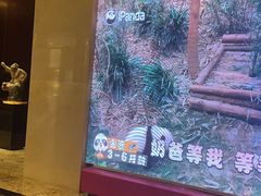 -成都保利公园皇冠假日酒店(熊猫基地店)