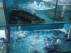 -江湖亮亮蒸虾大排档烤全羊清真(武汉总店)