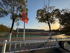 -羊山湖公园