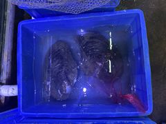 -八仔大富楼·河鲜(西江店)