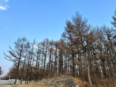 -白草畔自然风景区