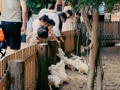 -汕头蓝水星欢乐世界