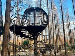 -黄海国家森林公园