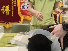 -悦宠动物医院(京丰分院)