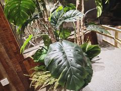 -稻鲜记潮汕砂锅粥