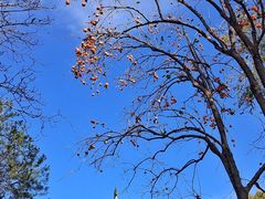 -国家图书馆·古籍馆