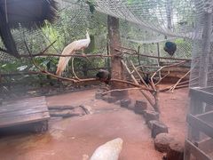 -海南热带野生动植物园