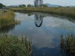 -太湖湖滨国家湿地公园-停车场