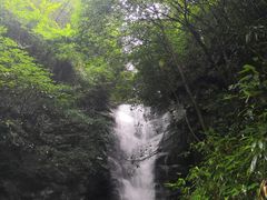 -长谷洞天