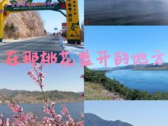 -河口景区