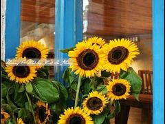 -Babycat私家御饼屋(龙头路一店)