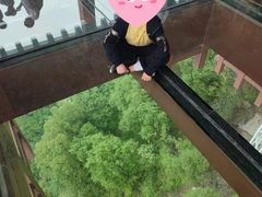 -少华山国家森林公园