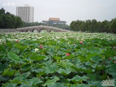 -南戴河国际娱乐中心