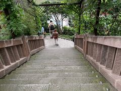 -磁器口古镇