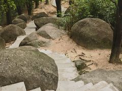 -火炉山森林公园