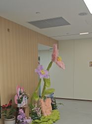 点击看大图 -上海伊莱美医疗美容医院