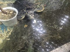 -嘉兴海底世界