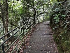 -保利石象湖景区