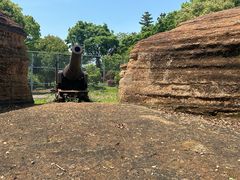 -平湖九龙山旅游度假区