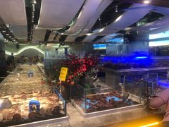 -一方渔歌蒸汽海鲜自助(文化路万达广场店)