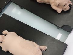 -澜悦港海鲜体验主题餐厅
